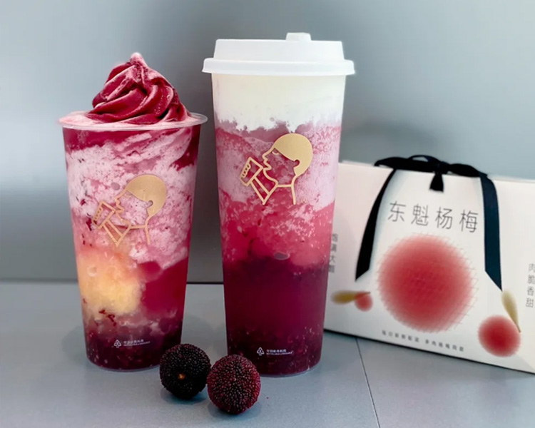加盟喜茶需要什么条件和费用，想开一家喜茶需要什么条件